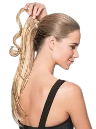 Ponytail wig style -