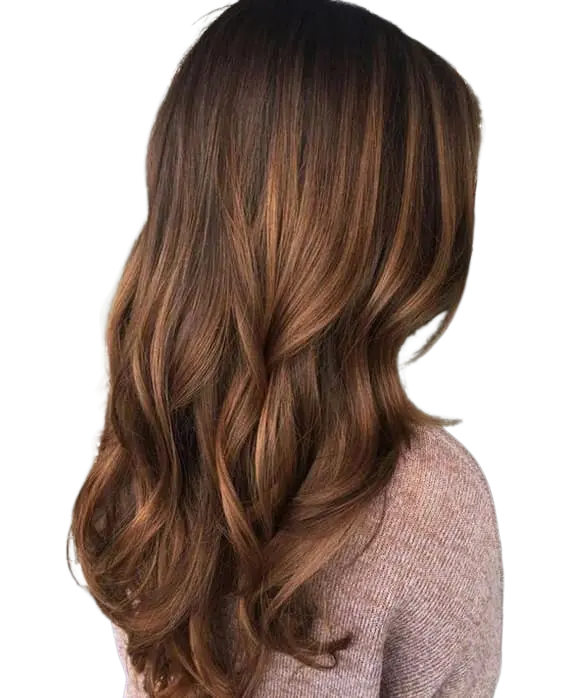 chestnut-brown wig color