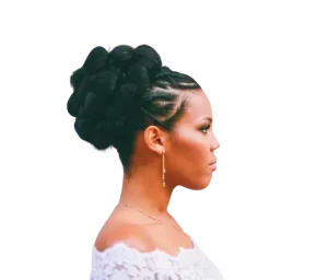 Updo weaves style